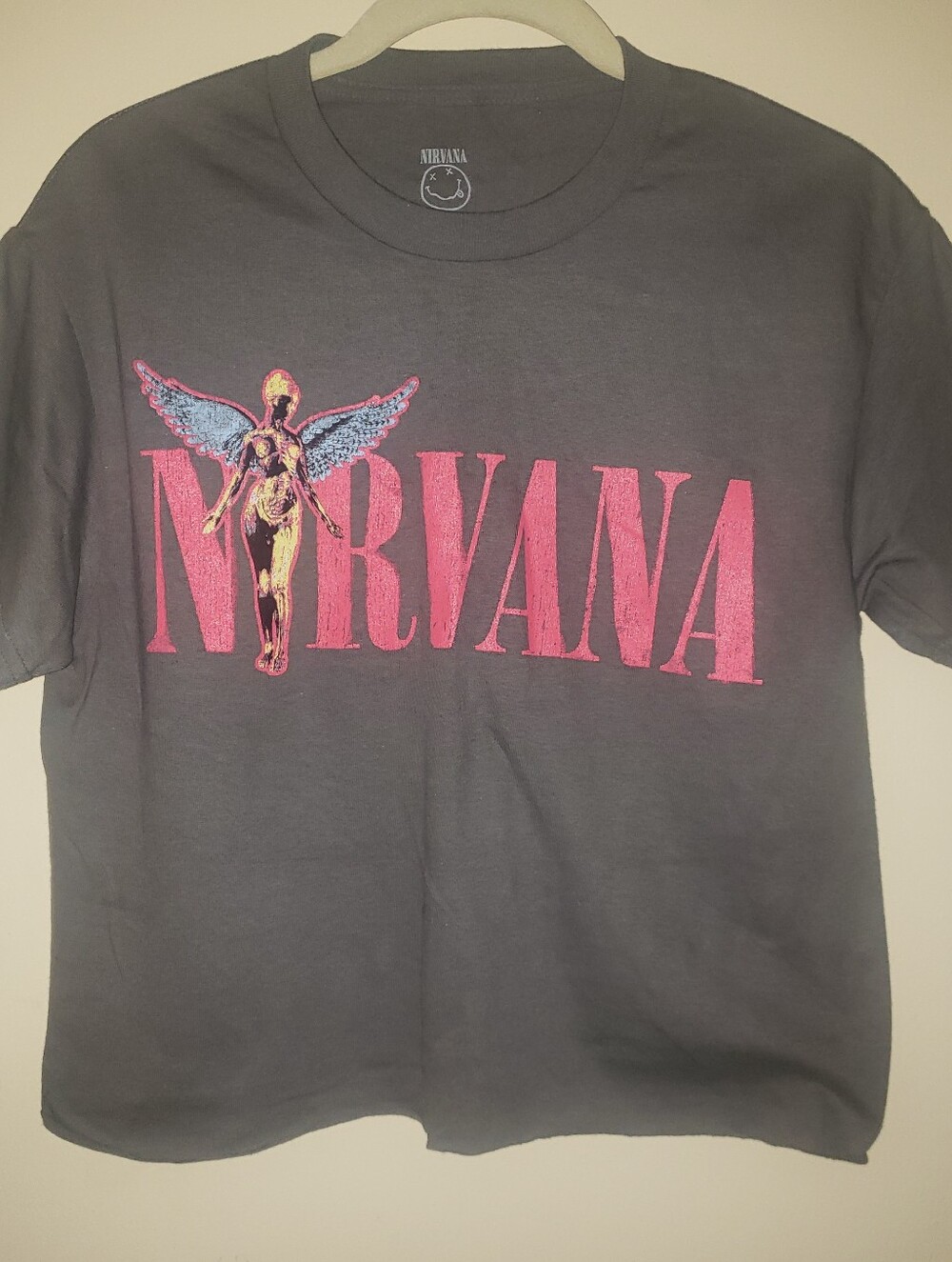 NWOT Nirvana Short-Sleeve Graphic Tee in Dark Gray with Pink Logo Size Small